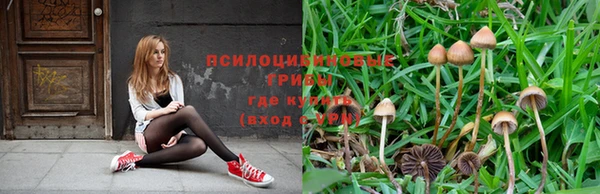 винт Михайлов