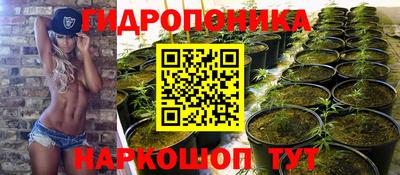 a pvp Заволжье