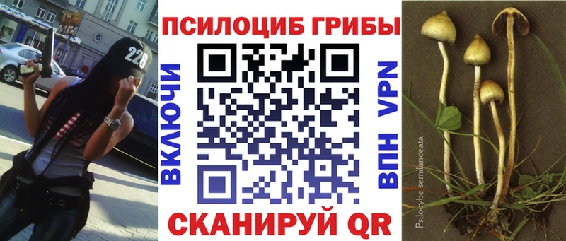 Псилоцибиновые грибы мицелий  Миллерово 