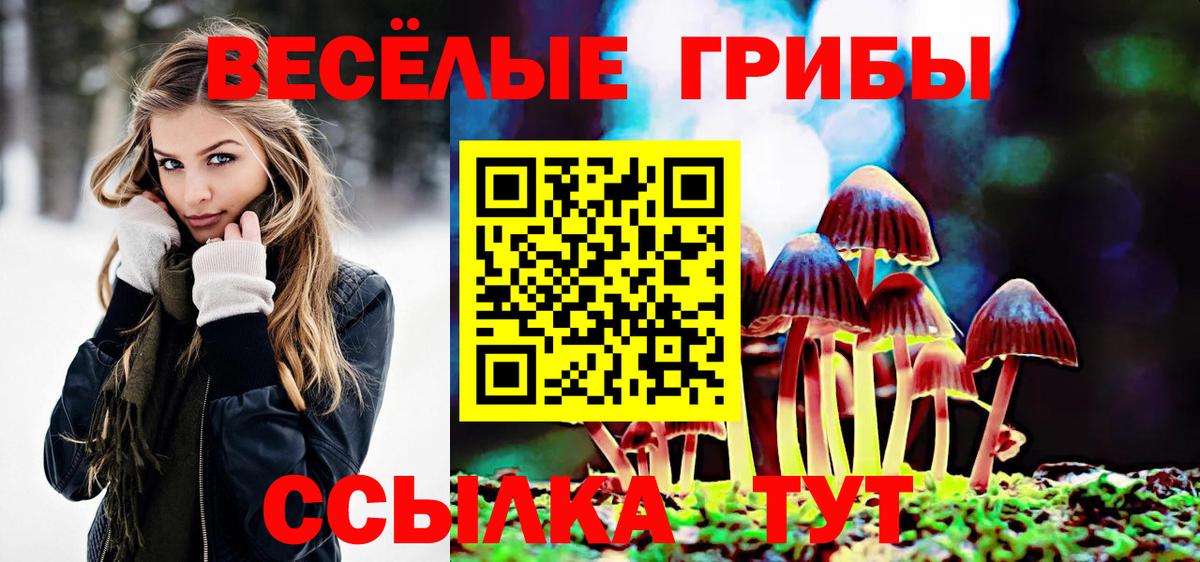 Псилоцибиновые грибы MAGIC MUSHROOMS Миллерово