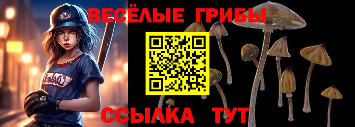 Галлюциногенные грибы мухоморы  Вход с VPN  Галлюциногенные грибы MAGIC MUSHROOMS  Миллерово 